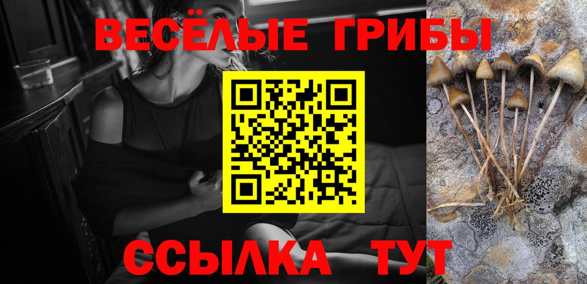 Псилоцибиновые грибы GOLDEN TEACHER  Псилоцибиновые грибы Psilocybe  Вход с VPN  Волгодонск 
