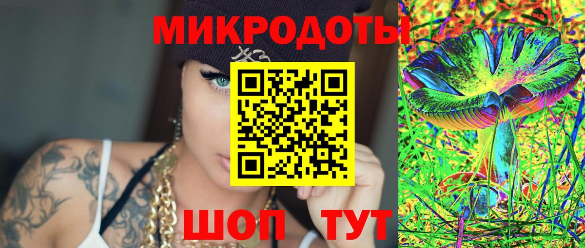 Псилоцибиновые грибы Psilocybine cubensis Волгодонск